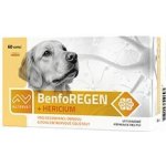 AlterVet BenfoREGEN+Hericium 60 cps – Hledejceny.cz