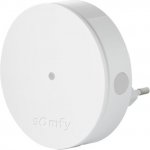 Somfy Radio Extender 2401495 – Sleviste.cz