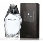 Avon Perceive toaletní voda pánská 100 ml – Hledejceny.cz