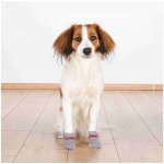 Ponožky pro psy Non-Slip protiskluzové – Zbozi.Blesk.cz