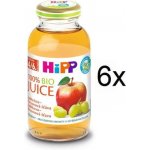 HiPP BIO Jablečno-hroznová 6 x 200 ml – Hledejceny.cz