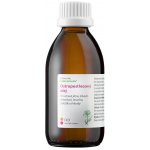 Dědek kořenář Ostropestřecový olej | OO 200 ml – Hledejceny.cz