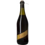 Contri Fragolino Rosso Terre Del Sole 10% 0,75 l (holá láhev) – Zboží Dáma