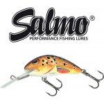 SALMO Hornet Potápivý 4 cm Trout – Hledejceny.cz