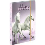 Karton P+P A4 Jumbo Kůň Romantic 5-71019 – Hledejceny.cz