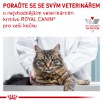 Royal Canin Veterinary Diet Cat Gastrointestinal 4 kg – Hledejceny.cz