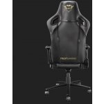 TRUST GXT712 RESTO PRO CHAIR 23784 – Hledejceny.cz