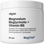 Vilgain Hořčík bisglycinát + B6 90 kapslí – Hledejceny.cz