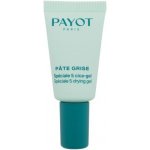 Payot Pâte Grise Spéciale 5 Drying Gel 15 ml – Zboží Dáma