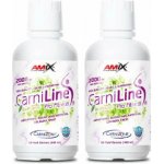 Amix CarniLine Pro Fitness + Bioperine 480 ml – Hledejceny.cz