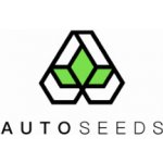 Auto Seeds Candy Kush AUTO semena neobsahují THC 5 ks – Sleviste.cz