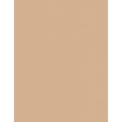 Clarins Ever Matte Shine Control Mineral Powder Compact zmatňující kompaktní pudr 1 Transparent Light 10 g – Sleviste.cz