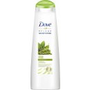 Dove Detox Ritual šampon s Matchou a rýžovým mlékem 250 ml