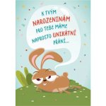 Přání k nahrání vzkazu - Narozeniny – Zboží Mobilmania