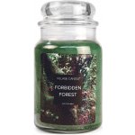 Village Candle Forbidden Forest 602 g – Zboží Mobilmania