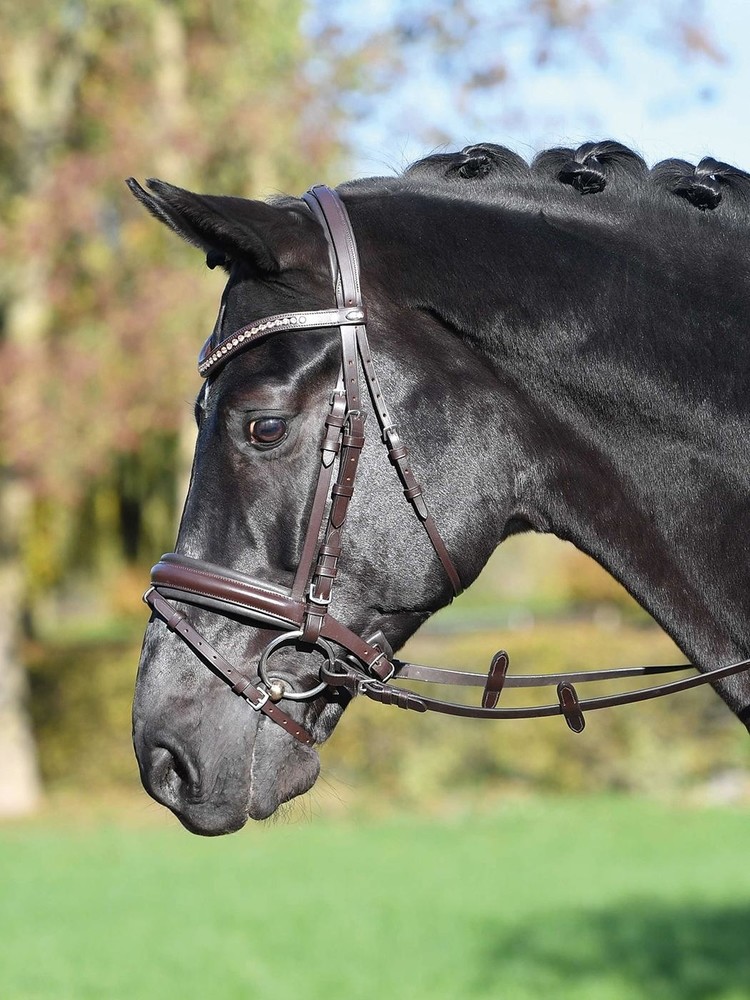 уздечка для хоббихорса. уздечка-недоуздок для лошади. конная амуниция уздечка. плетеная уздечка. сколько уздечек.