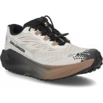 Salomon Aero Blaze 4 Grvl Gtx M L45403200 vanilla ice/black/burro – Hledejceny.cz