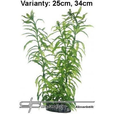 Hobby Heteranthera 25 cm umělá – Zbozi.Blesk.cz