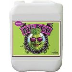 Advanced Nutrients Big Bud Liquid 1l – Hledejceny.cz