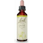 Bachovy květové esence Oliva Olive 20 ml – Hledejceny.cz