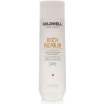 Goldwell Dualsenses Rich Repair Shampoo 250 ml – Hledejceny.cz