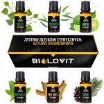 Bilovit vonný olej Umění saunování 6 x 10 ml – Hledejceny.cz