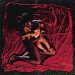 The Afghan Whigs - Congregation LTD LP – Hledejceny.cz