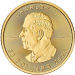 Royal Canadian Mint Maple Leaf zlatá mince 50 CAD stand 1 oz – Zboží Dáma