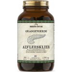 Modern Native Alvleesklier Sušená hovězí slinivka břišní v kapslích 500 mg 180 ks – Hledejceny.cz