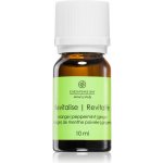 Chesapeake Bay Aroma olej Revitalise 10 ml – Hledejceny.cz