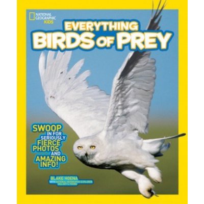 Everything Birds of Prey – Hledejceny.cz