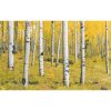 Tapety Komar Vliesová fototapeta Orange Forest rozměry 400 x 250 cm