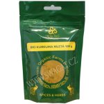 Healing Nature Bio Kurkuma mletá 100 g – Zboží Mobilmania