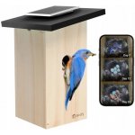 Birdfy Budka pro ptáky s kamerou 1080P – Hledejceny.cz