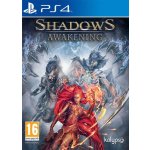 Shadows: Awakening – Zboží Dáma