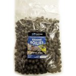 Raptor Baits Krmné boilies MRTVÁ RYBA 5kg 20mm – Zbozi.Blesk.cz