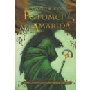 Lon Tobynské kroniky 1: Potomci Amarida - David B. Coe