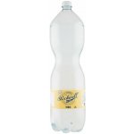 Tesco Stockwell & Co Tonic 2 l – Zbozi.Blesk.cz