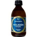 Zdravý Svet Lipozomální hydrolyzovaný kolagen komplex 250 ml – Hledejceny.cz