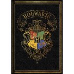 Merch Blok A5 Harry Potter Colourful čierný – Zboží Mobilmania