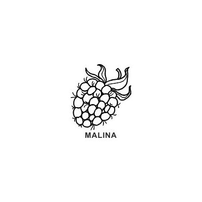 L.V. Obrázkové razítko MALINA – Zboží Dáma