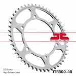 JT Sprockets JTR 300-48 | Zboží Auto