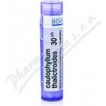 CAULOPHYLLUM THALICTROIDES POR 30CH GRA 1X4G – Hledejceny.cz