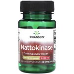 Swanson Nattokinase 100 mg 30 kapslí – Hledejceny.cz