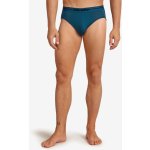 Icebreaker pánské slipy Mens Anatomica Briefs Loden – Sleviste.cz