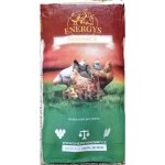 Energys Krmivo nosnice KLASIK 25 kg – Zboží Dáma
