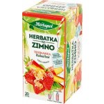 Herbapol Studený čaj Jahoda a rebarbora 20 ks – Hledejceny.cz