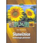Slunečnice - technologie pěstování – Hledejceny.cz