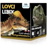 Albi Lovci lebek Pachycephalosaurus – Zboží Dáma