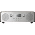 Panasonic RF-D100BTEGT – Zboží Živě